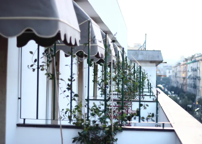 Stelle Hotel The Businest